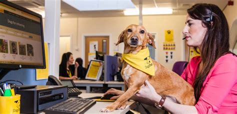 dogs trust contact details.
